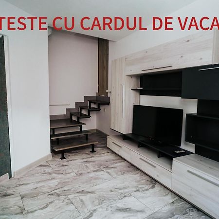 Apartment Attic Sibiu Exteriér fotografie
